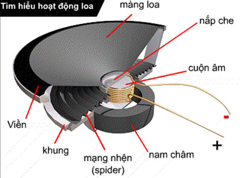 Cấu tao của loa